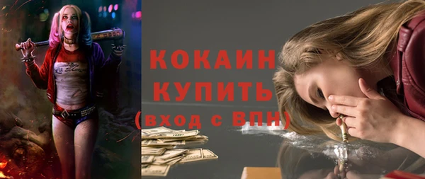 шишки Баксан