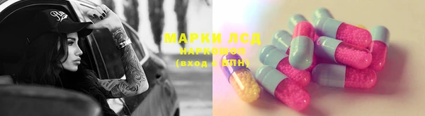 шишки Баксан
