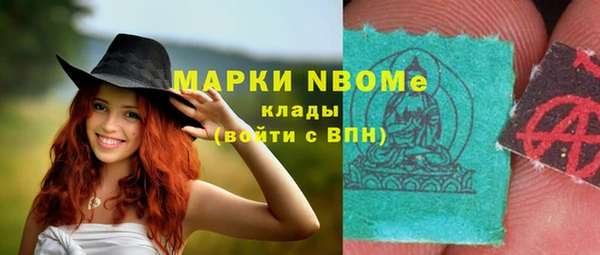 шишки Баксан