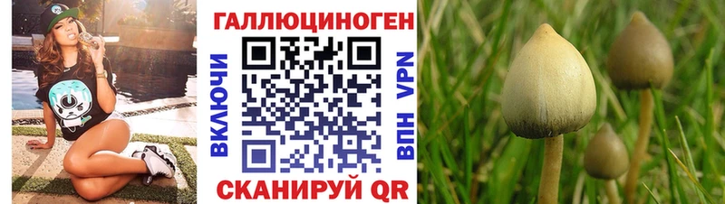 Псилоцибиновые грибы ЛСД  где можно купить   Унеча 